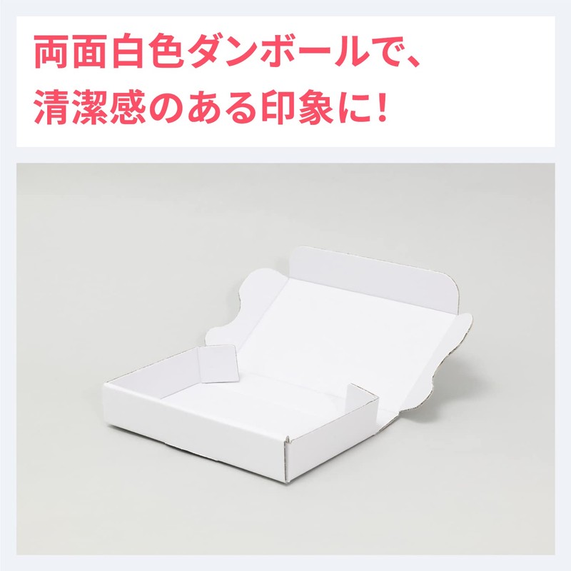Earth Cardboard Shipping Box for Unregistered Mail, Standard Size, Minimum