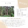 e-aroma Hinoki 100g Essential Oil Essential Oil Aroma Oil