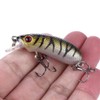 CENPEK 10pcs Luya Bait 5cm/7g Micro-submersible Hard Bait Blood Tank