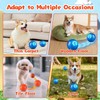 2 Pcs Shaky Ball Toy for Dogs, 2025 New Vibrating