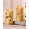 Comenzar Flameless Candles Birch Bark Candle LED Candles Home Decor