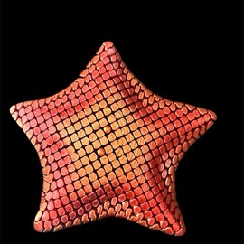 Flexi Articulated Starfish- Fun for all ages! -Super Flexible- Variety of Colors! action figures toy unique fidget posing toys - Color: Rainbow