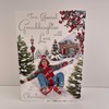 Jonny Javelin Special Granddaughter Love At Christmas Card Sledging