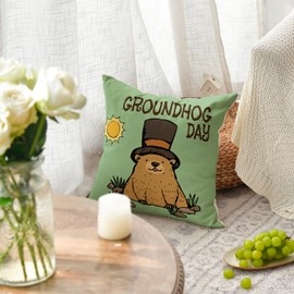 AVOIN colorlife Groundhog Day Sunshine Throw Pillow Cover, 18 x 18 Inch Spring Holiday Cushion Case Decoration for Sofa Couch