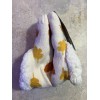 Serra Dachshund Slipper Socks, Sherpa Lined. Women’s Shoe Size 4-10.