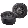 PRECISION POWER: Pro Audio T.2 Niobium Micro Dome 1 Inch
