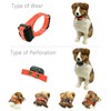 Quick Snap Bungee Dog Collar Strap with D Ring for