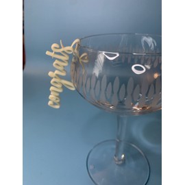 Acrylic Congrats Drink Markers for Graduation Parties Retirement or Any Special Occasions