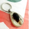 Real Insect Key Chain - Golden Cicada Glow- in-the-Dark
