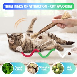 GBSYU 4 Pcs Cat & Kitten Chew Toy, Cat Toys Chew Ropes and Silvervine Cat Chew Sticks with Refillable Natural Catnip Bag for Teeth Cleaning, Safe Interactive Cat Toys for Indoor Cats