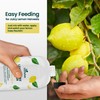 16oz Lemon Tree Fertilizer - Makes 32 Gallons of Fruit