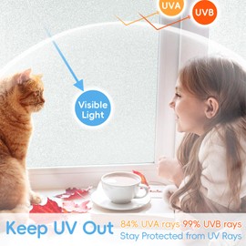 Qualsen Window Glass Privacy Film