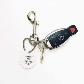 Universal Key Ring, 4 Keyrings, Car, Silver, Multi-Purpose Carabiner, Keychain, Stylish