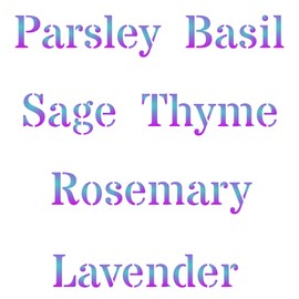 Herb Stencil - Reusable Words Labels Farmhouse Cabinet Word Stencil - Template on Paper Projects Scrapbook Diary Walls Floors Fabric Furniture Glass Wood Etc, m