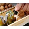 MxTong Manual Nutcracker Nut Tongs Heavy Duty Nut Cracker Macadamia