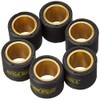Vicma variator weights Maxi Scooter 19x17 – 10.00g – set