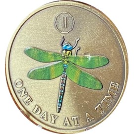 2 Year Green Dragonfly One Day at A Time Sobriety Chip AA NA Medallion