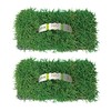 SodPods® Zoysia Grass Plugs for Lawn Repair, 3" x 3"