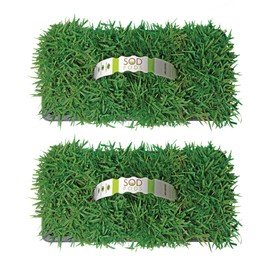 SodPods® Zoysia Grass Plugs for Lawn Repair, 3" x 3" Each (16-Count) – Cannot Ship to California/Arizona