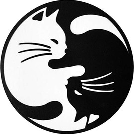 Papapatch Cat Yin Yang Kung Fu Chinese Tao Balance Sign Vinyl Window Laptop Wall Decor Decal Sticker (STK-CAT-YIN-YANG-35)