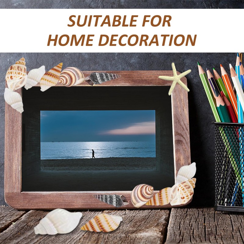 KVBUCC 105 Seashell Decorations, Spiral Shells, Starfish Decorations, Fish Tank