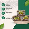Infinix 100% Natural African Black Soap, Handmade in Ghana, Raw