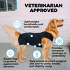 Shed Defender Recovery Suit for Dogs - Seen on Shark