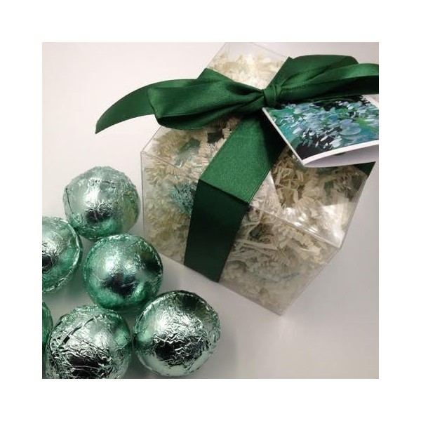 EUCALYPTUS & SPEARMINT GIFT SET with 6 Bath Bomb Fizzies with Shea, Mango & Cocoa Butter, Ultra Moisturizing (14 Oz) Great for Dry Skin, All Skin Types (Eucalyptus & Spearmint)