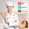 Panettone Mold 500g, 20pcs - Professional Natural Pure Cellulose Paper
