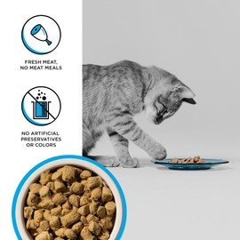 BIXBI Rawbble Freeze Dried Cat Food, Chicken & Salmon Recipe, 10 oz - 95% Meat and Organs, No Fillers - Pantry-Friendly Raw Cat Food for Meal, Treat or Food Topper - USA Made in Small Batches
