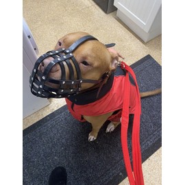 Biothane Dog Muzzle | Training & Behaviour | Strong, Waterproof Design | XL American Bully, XL Bully | Handmade, Durable