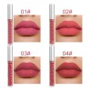 Brillos Labiales Mixed Color 10 Pzs Impermeables