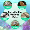 Snake Hammock For Ball Python, Jungle Gym Ball With Chain