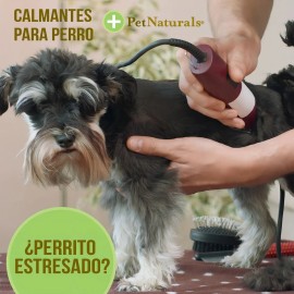 Calmantes Pet Naturals Para Perros Mb Y Lb (21 Pzs/bolsa)
