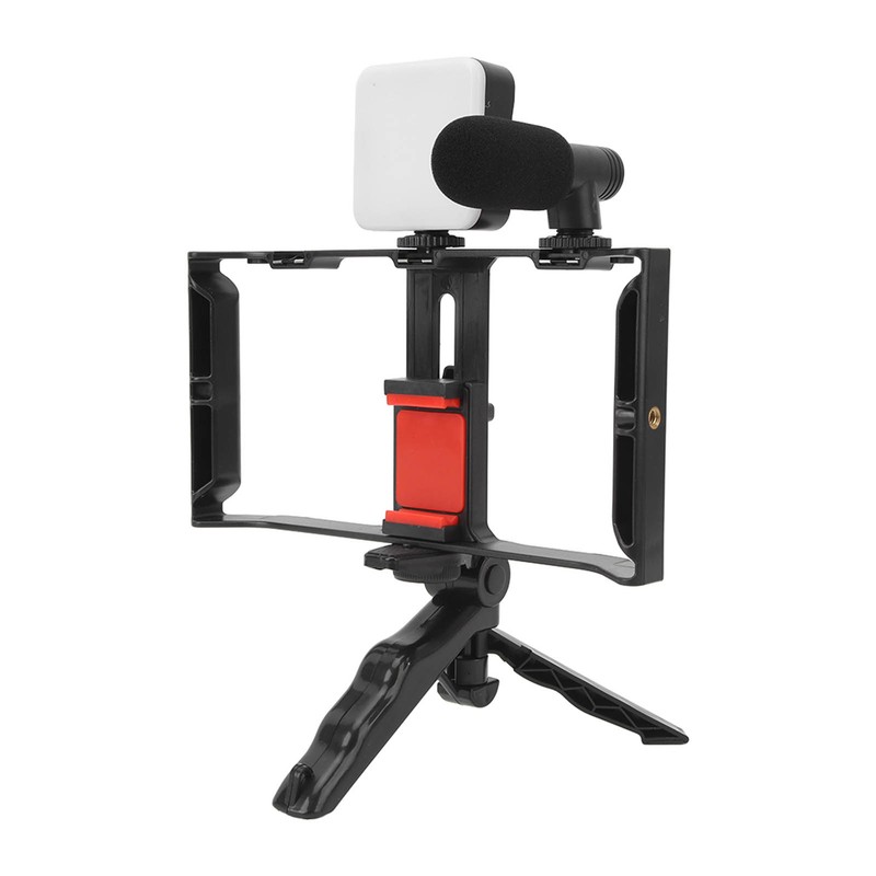 Phone Live Streaming Kit with Fill Light Microphone Sound Cable