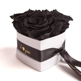 ROSEMARIE SCHULZ Heidelberg Flower Heart Infinity Rose Box in Heart Shape Preserved Roses Black Love (I Love You, Black)
