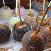 1000 Pack 5.5 Inch Candy Apple Sticks, 6 mm Thick