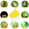 30 Pack Yellow Sticky Traps Fruit Fly Trap, Double-Sided Fungus