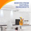 Zep Home Pro Orange Plus Kitchen Degreaser - 24 Fl.