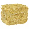 Strawweaver Mini Straw Bale, 2.5x3.5x2.5 in