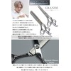 Emgrande Wig Brush (Supervised by Active Top Stylists) Brush Wig,