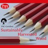 Pepy Graphite Professional Drawing Pencils - Set of 12 8H