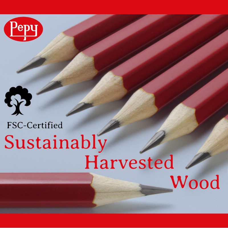 Pepy Graphite Professional Drawing Pencils - Set of 12 8H