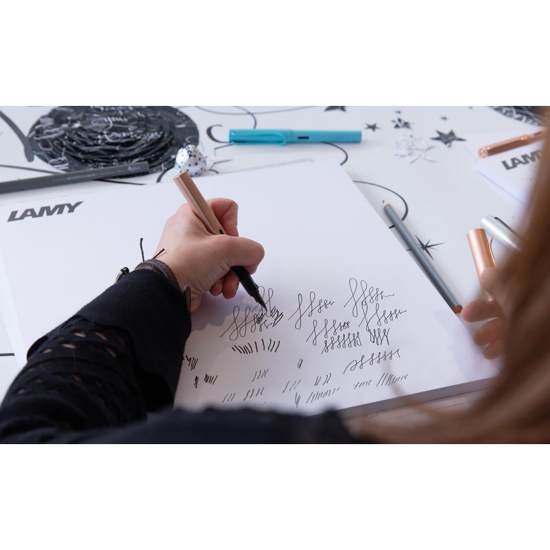 Lamy Lx series Fountain Pen