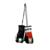 Mini Palestine Boxing Glove / Palestine Flag / Palestine Boxing