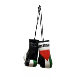 Mini Palestine Boxing Glove / Palestine Flag / Palestine Boxing Glove