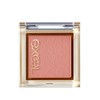 Excel Eye Planner F02 Eyeshadow, Color: Nutmeg, 0.04 oz (1.2