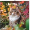 Alpha Edition - Cat Calendar 2026 - Brochure Calendar 30