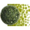 Fern Green Transparent Glass Frit Coarse Bullseye COE 90 Fusible-