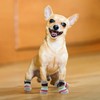 YAODHAOD Anti-Slip Dog Socks for Hardwood Floor, Dog Boots &